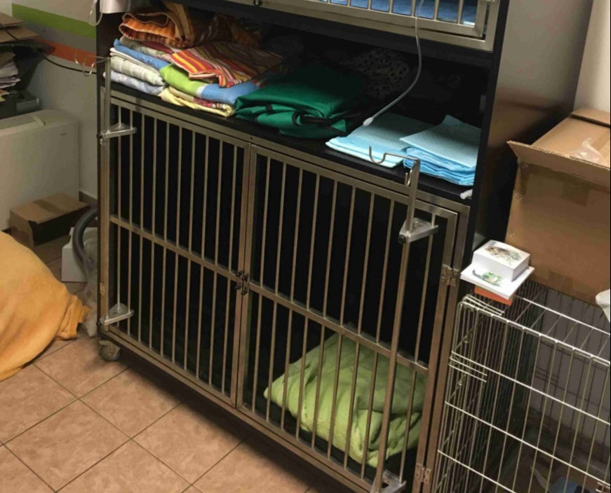 Hospitalizační boxy